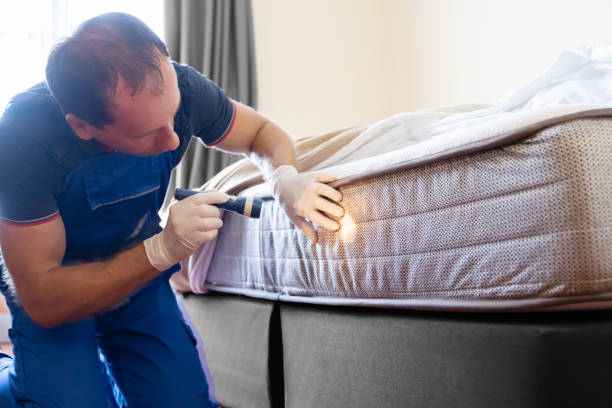 Best Bed Bug Extermination  in Laurence Harbor, NJ